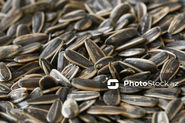 Sabirabad Sənaye Məhəlləsinə təşkil olunan mediatur