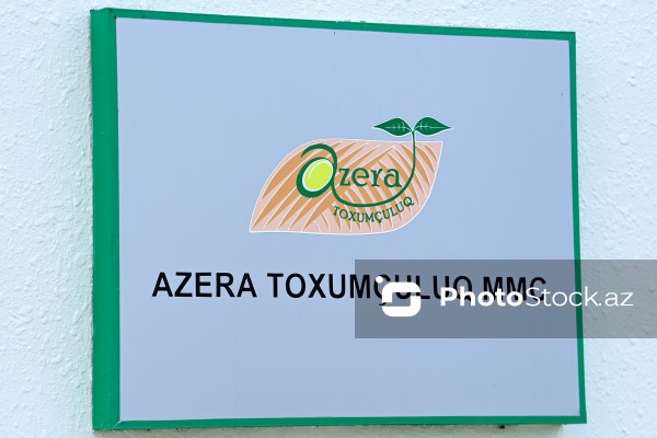 “Azera Toxumçuluq” MMC