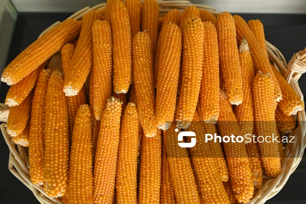 Sabirabad Sənaye Məhəlləsinə təşkil olunan mediatur