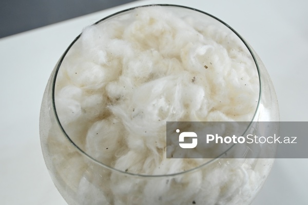 Sabirabad Sənaye Məhəlləsinə təşkil olunan mediatur