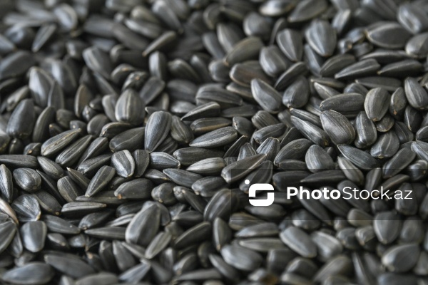 Sabirabad Sənaye Məhəlləsinə təşkil olunan mediatur