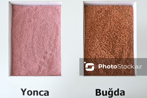 Sabirabad Sənaye Məhəlləsinə təşkil olunan mediatur