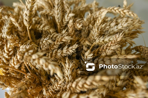 Sabirabad Sənaye Məhəlləsinə təşkil olunan mediatur