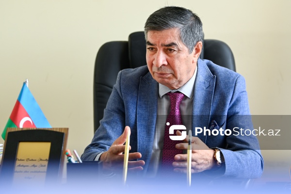 Professor Bədirxan Əhmədli