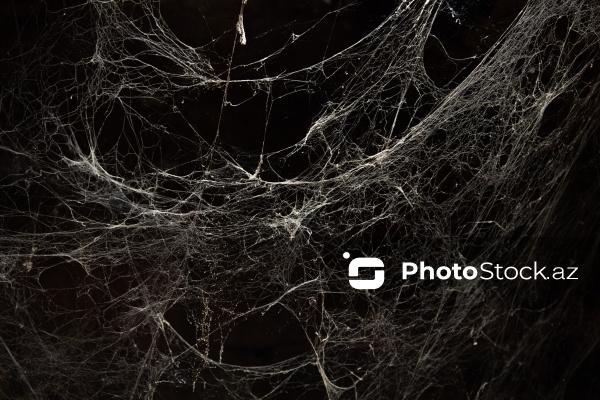 Qoşaqışlaq kəndində yerləşən qədim tağ evlər