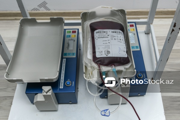 "Global Media Group"da qanvermə aksiyası keçirilib