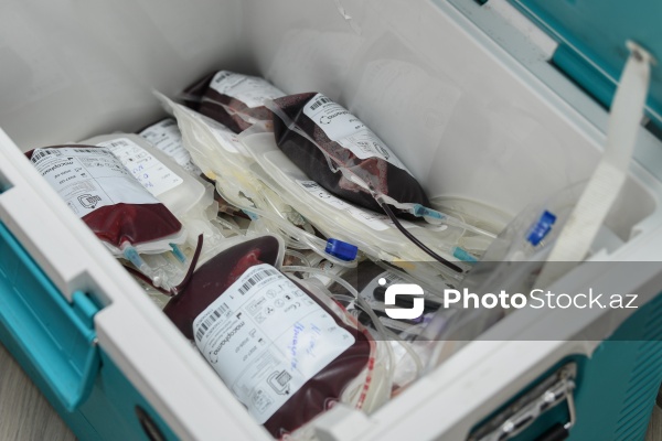 "Global Media Group"da qanvermə aksiyası keçirilib