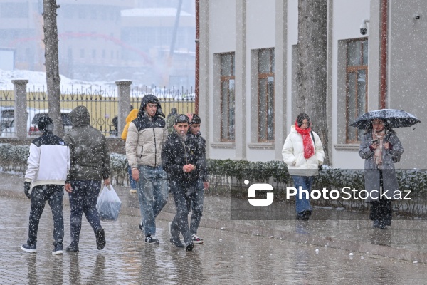 Qarabağ Universitetinin Biznes və iqtisadiyyat fakültəsinin yeni binası