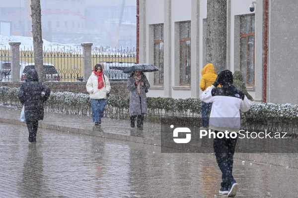 Qarabağ Universitetinin Biznes və iqtisadiyyat fakültəsinin yeni binası