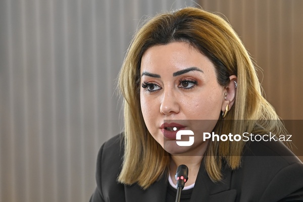 Kəmalə Məmmədova - Azərbaycan və Ermənistan vətəndaş cəmiyyətlərinin nümayəndələrinin iştirakı ilə keçirilən mətbuat konfransında