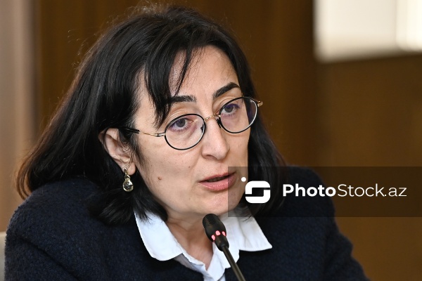 Lusine Xaratyan - Azərbaycan və Ermənistan vətəndaş cəmiyyətlərinin nümayəndələrinin iştirakı ilə keçirilən mətbuat konfransında