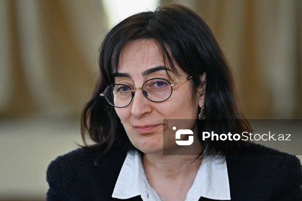 Lusine Xaratyan - Azərbaycan və Ermənistan vətəndaş cəmiyyətlərinin nümayəndələrinin iştirakı ilə keçirilən mətbuat konfransında