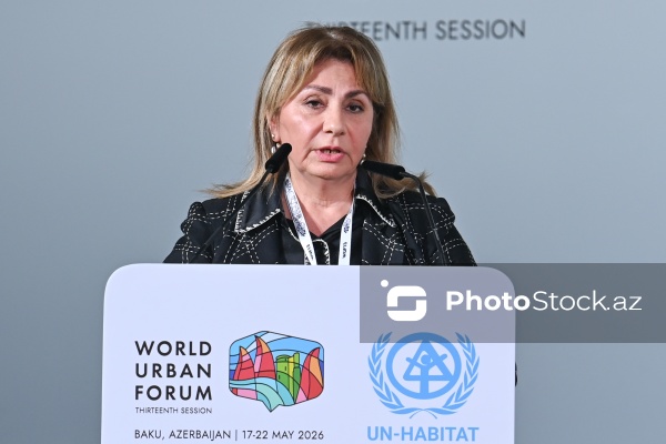 Gülşən Rzayeva - "Qlobal mənzil böhranı: Plan nədir?" adlı panel müzakirəsində