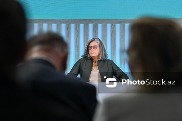 Anaklaudia Rossbax - "Qlobal mənzil böhranı: Plan nədir?" adlı panel müzakirəsində