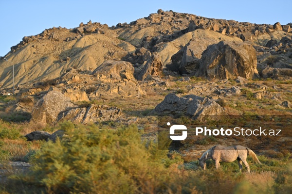 Qobustan Milli Tarixi-Bədii Qoruğu