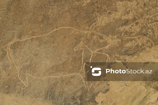 Qobustan Milli Tarixi-Bədii Qoruğu