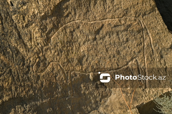 Qobustan Milli Tarixi-Bədii Qoruğu
