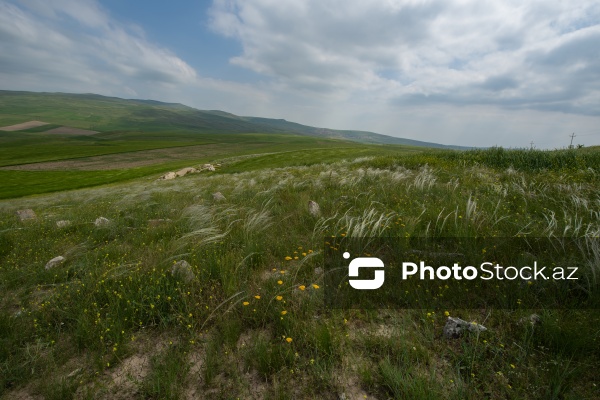 Qobustan rayonunda yerləşən qədim qəbiristanlıq