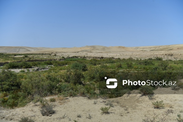 Qobustanda ölümlə nəticələnən torpaq uçqununun baş verdiyi ərazi