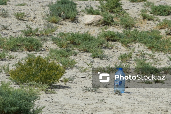 Qobustanda ölümlə nəticələnən torpaq uçqununun baş verdiyi ərazi
