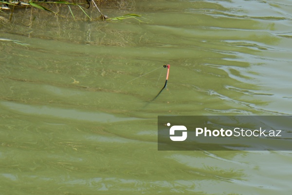 Qobustanda ölümlə nəticələnən torpaq uçqununun baş verdiyi ərazi