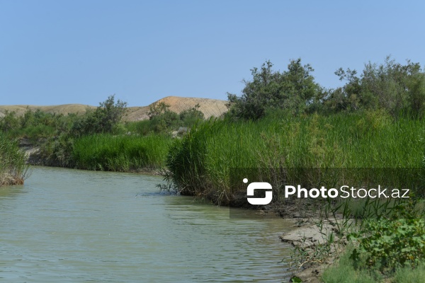 Qobustanda ölümlə nəticələnən torpaq uçqununun baş verdiyi ərazi