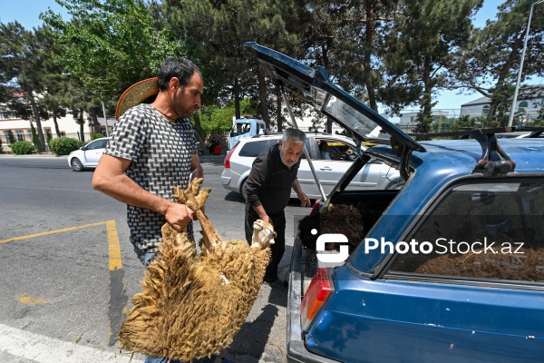 Qurban bayramı ərəfəsində heyvan bazarları