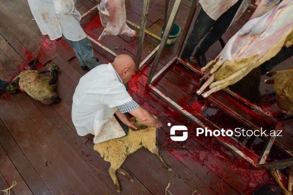 Qurban bayramı günlərində xidmət göstərən satış və kəsim məntəqələri