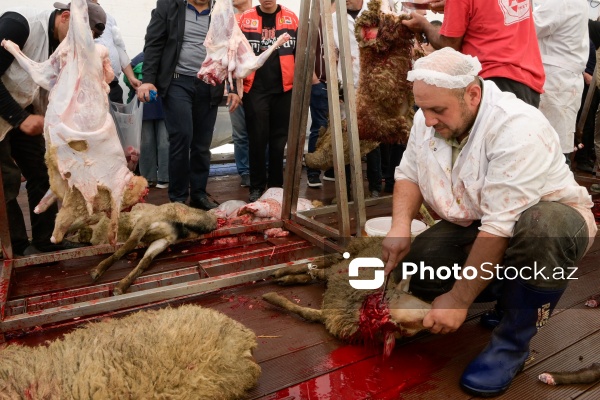 Qurban bayramı günlərində xidmət göstərən satış və kəsim məntəqələri