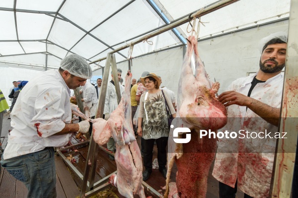 Qurban bayramı günlərində xidmət göstərən satış və kəsim məntəqələri