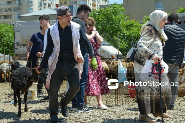 Qurban bayramı günlərində xidmət göstərən satış və kəsim məntəqələri