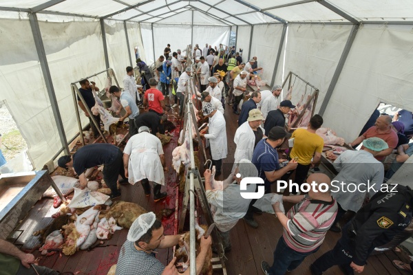 Qurban bayramı günlərində xidmət göstərən satış və kəsim məntəqələri