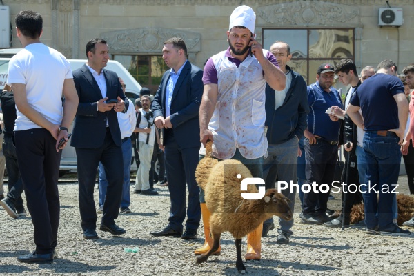 Qurban bayramı günlərində xidmət göstərən satış və kəsim məntəqələri