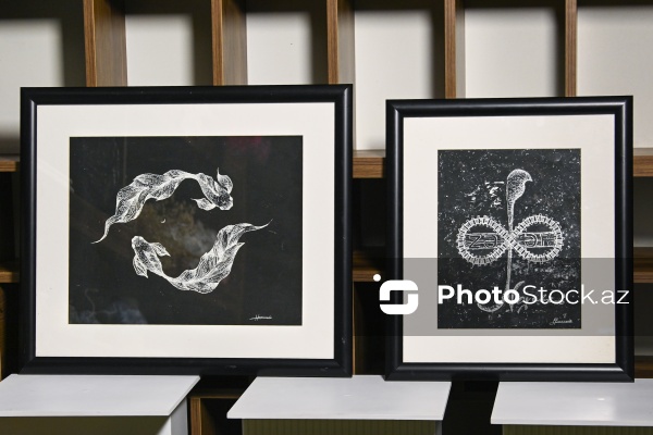 Qrataj texnikası ilə Vətən sevgisini təsvir edən rəssam Ləman Həsənzadə