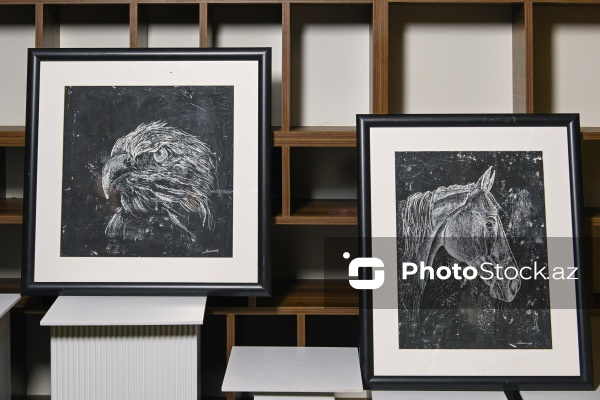 Qrataj texnikası ilə Vətən sevgisini təsvir edən rəssam Ləman Həsənzadə