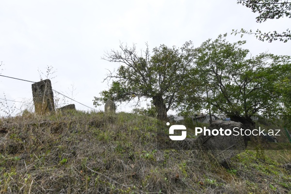 Şabranın Dağbilici kəndində yerləşən qədim qəbiristanlıq