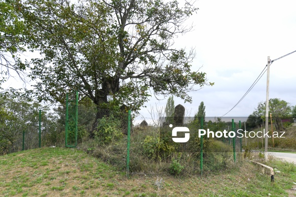 Şabranın Dağbilici kəndində yerləşən qədim qəbiristanlıq