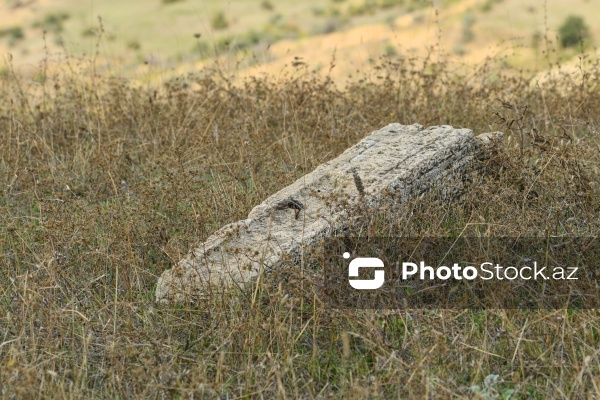 Şabranın Dağbilici kəndində yerləşən qədim qəbiristanlıq