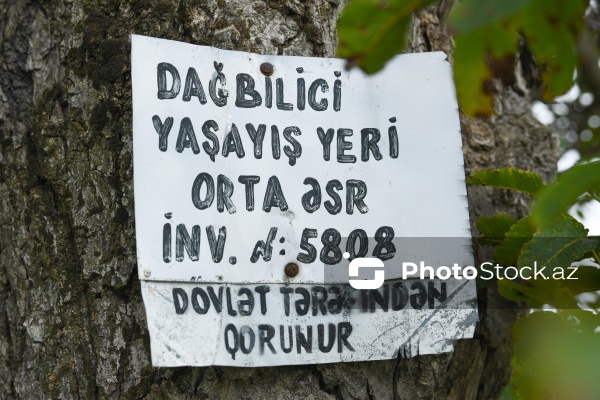 Şabranın Dağbilici kəndində yerləşən qədim qəbiristanlıq