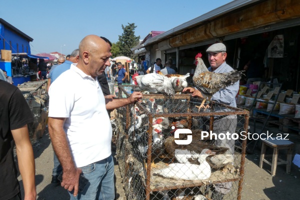Sabunçu rayonunda yerləşən "Bit bazarı"