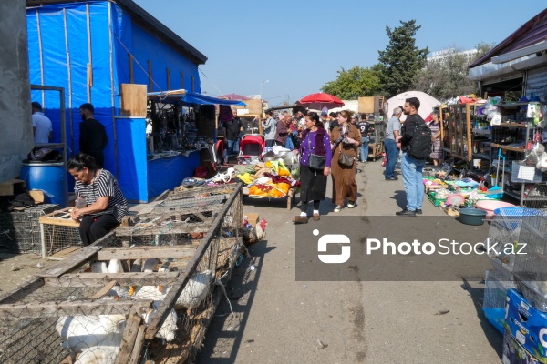 Sabunçu rayonunda yerləşən "Bit bazarı"