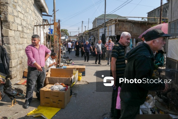 Sabunçu rayonunda yerləşən "Bit bazarı"