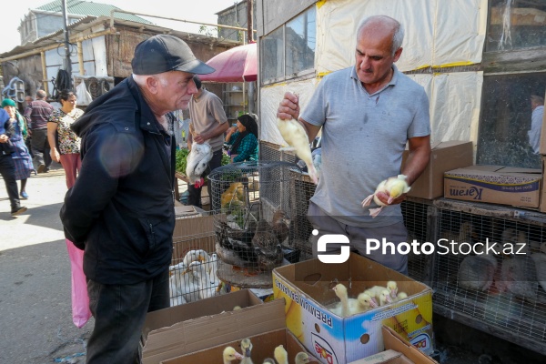 Sabunçu rayonunda yerləşən "Bit bazarı"