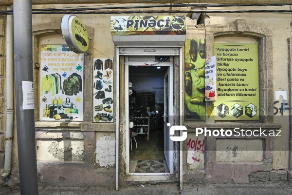 Səbir və diqqət tələb edən pinəçilik sənəti