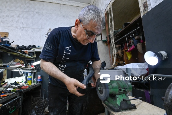 Səbir və diqqət tələb edən pinəçilik sənəti