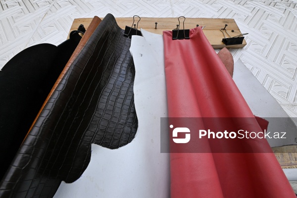 Səbir və diqqət tələb edən pinəçilik sənəti