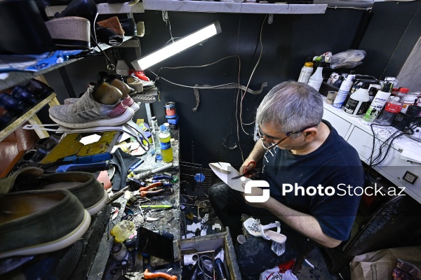 Səbir və diqqət tələb edən pinəçilik sənəti