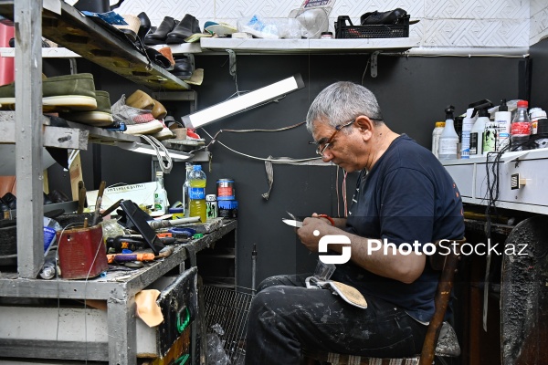 Səbir və diqqət tələb edən pinəçilik sənəti