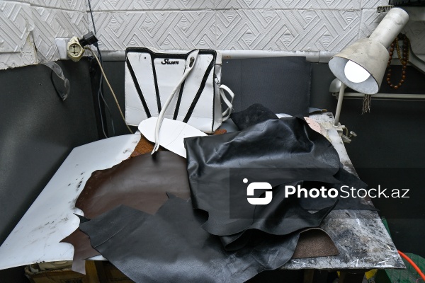 Səbir və diqqət tələb edən pinəçilik sənəti