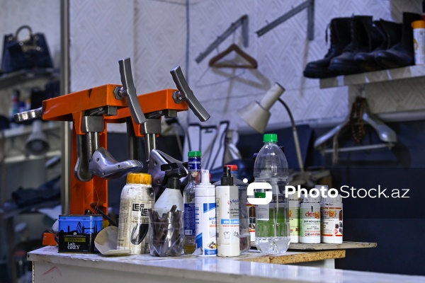 Səbir və diqqət tələb edən pinəçilik sənəti